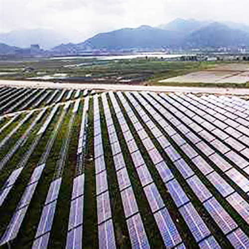 新金宝(中国游)有限公司官网