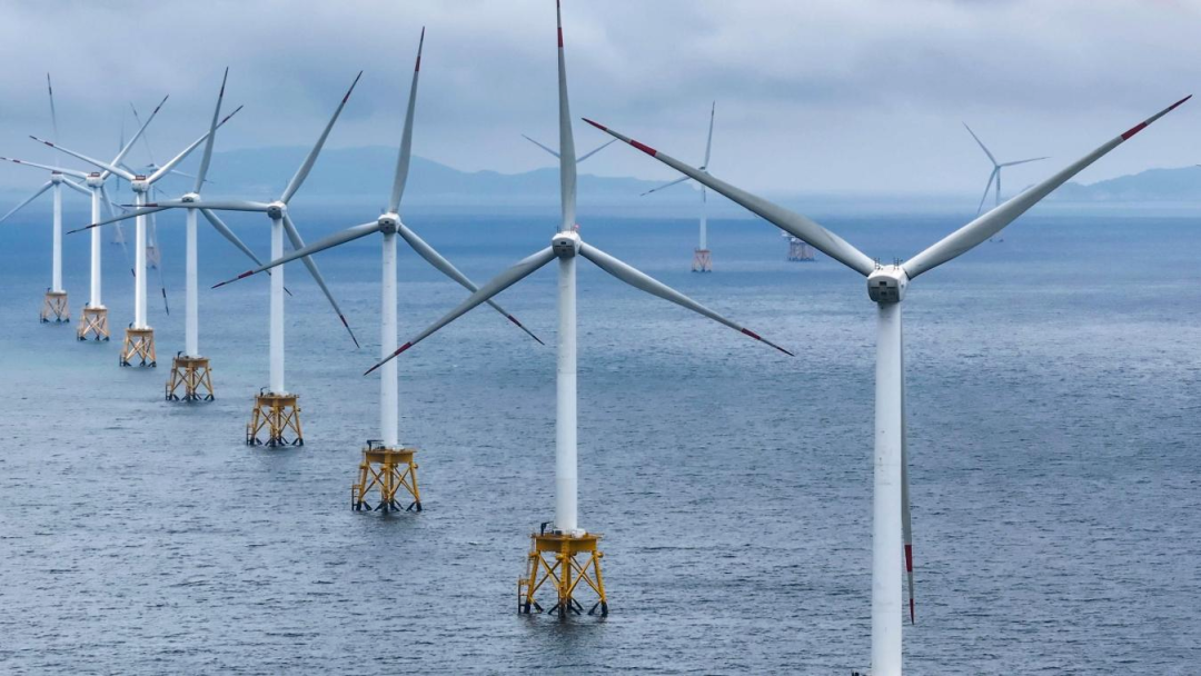 新金宝(中国游)有限公司官网