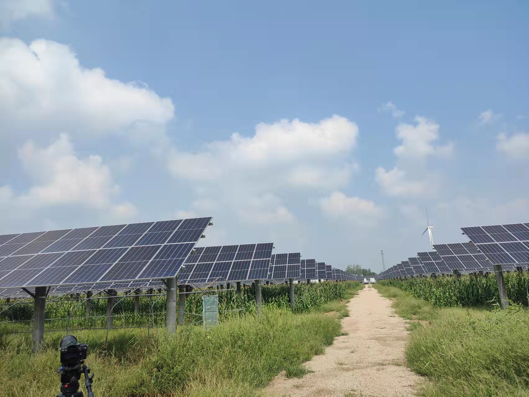 �½�(�й���)���޹�˾����