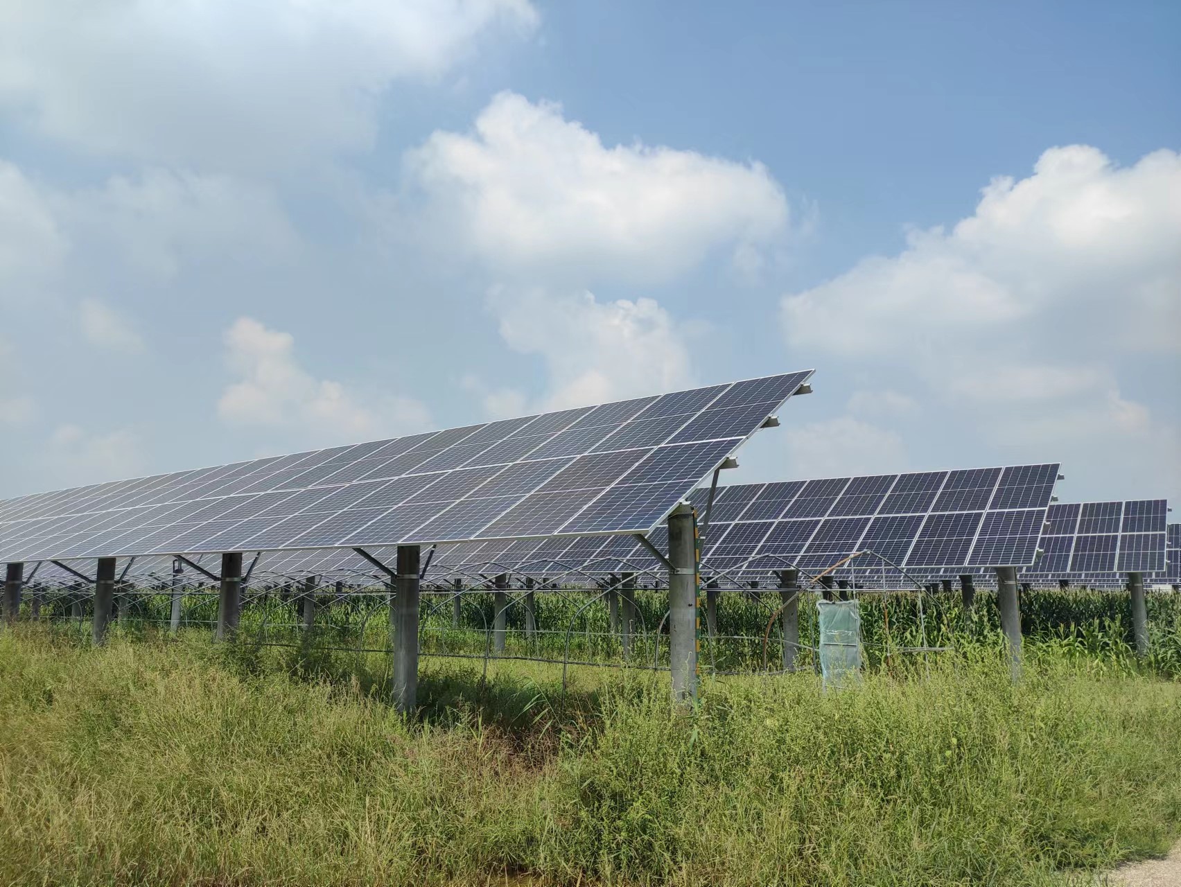 �½�(�й���)���޹�˾����